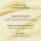 Lipnights Overnight Lip Mask