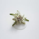 Advanced Anti-Ageing Light Cream