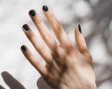 Feuille Lotus 19 Nagellak