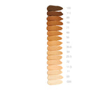 Re Evolve Natural Finish Liquid Foundation